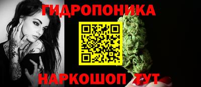 крисы Ярославль
